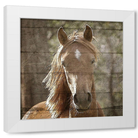 Farm Life 6 White Modern Wood Framed Art Print by Kimberly, Allen