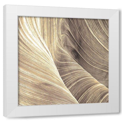 Sandstone White Modern Wood Framed Art Print by Kimberly, Allen