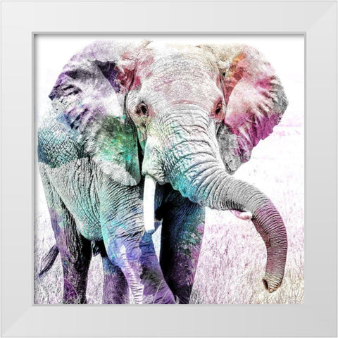 Elephant Colors White Modern Wood Framed Art Print by Kimberly, Allen