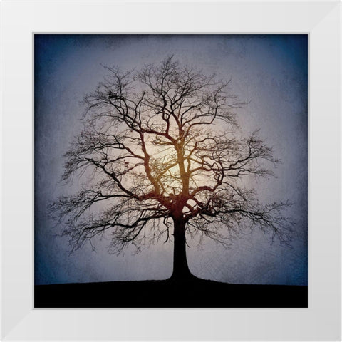 Sunset Tree White Modern Wood Framed Art Print by Kimberly, Allen