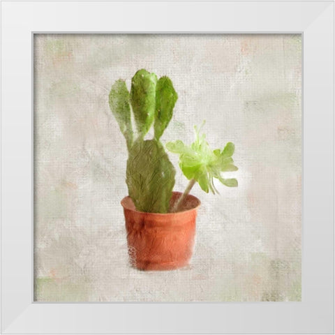 Potted Life 3 White Modern Wood Framed Art Print by Allen, Kimberly