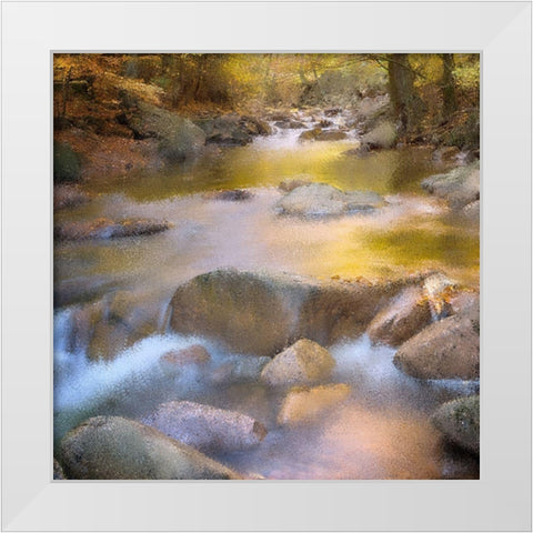 River Run White Modern Wood Framed Art Print by Kimberly, Allen