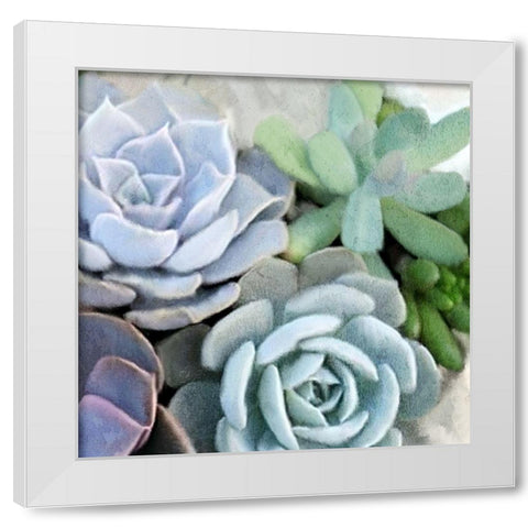Succulent Garden 2 White Modern Wood Framed Art Print by Kimberly, Allen