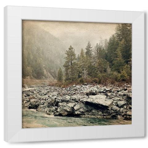 Wander Forest White Modern Wood Framed Art Print by Kimberly, Allen