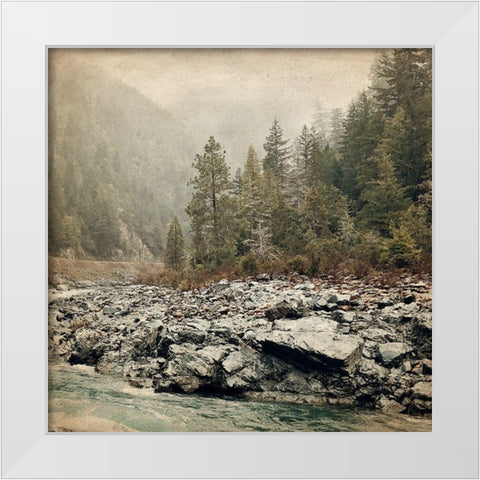 Wander Forest White Modern Wood Framed Art Print by Kimberly, Allen