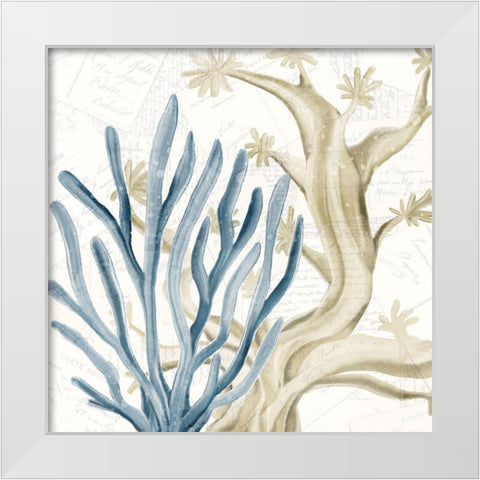 Coral Square 1 White Modern Wood Framed Art Print by Kimberly, Allen
