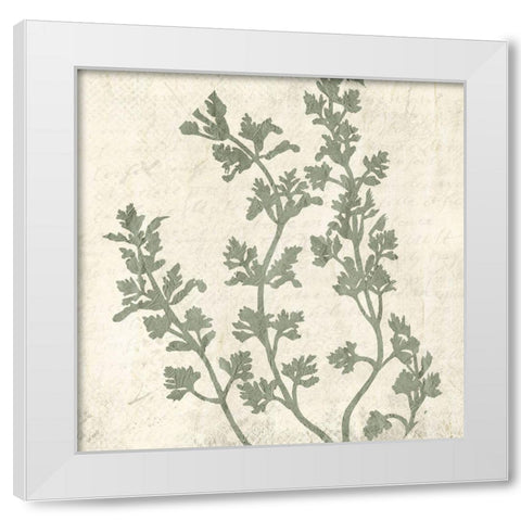 Sage 1 White Modern Wood Framed Art Print by Kimberly, Allen