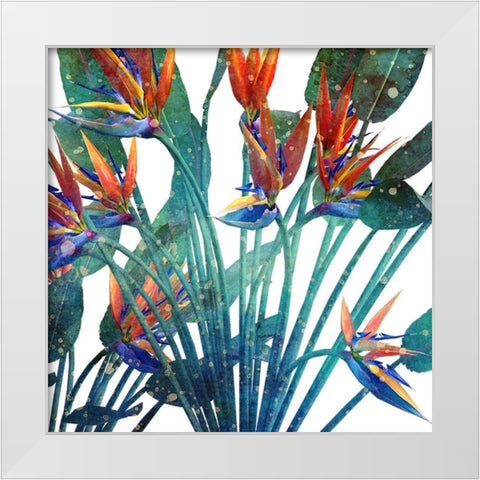 Tropic Flower 1 White Modern Wood Framed Art Print by Kimberly, Allen
