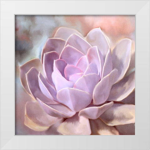 Painted Succulent 1 White Modern Wood Framed Art Print by Kimberly, Allen