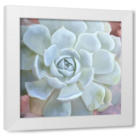 Painted Succulent 2 White Modern Wood Framed Art Print by Kimberly, Allen