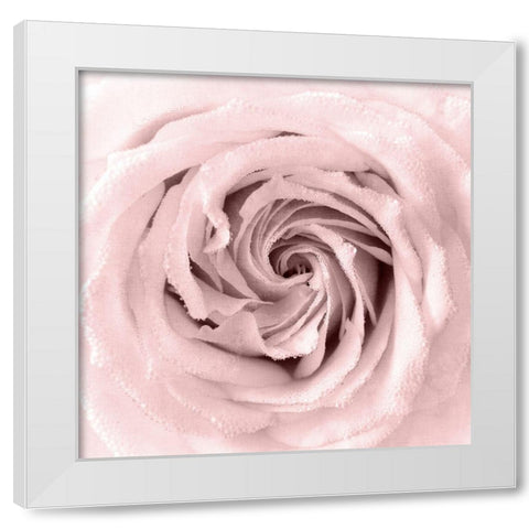 Rose Center 1 White Modern Wood Framed Art Print by Kimberly, Allen
