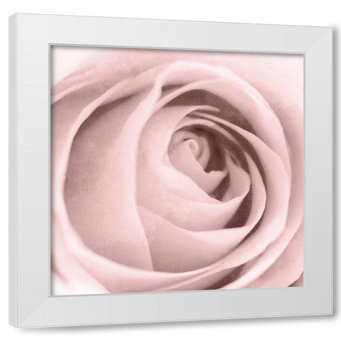 Rose Center 2 White Modern Wood Framed Art Print by Kimberly, Allen