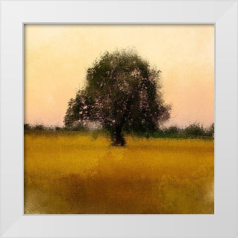 Evening Sky White Modern Wood Framed Art Print by Kimberly, Allen