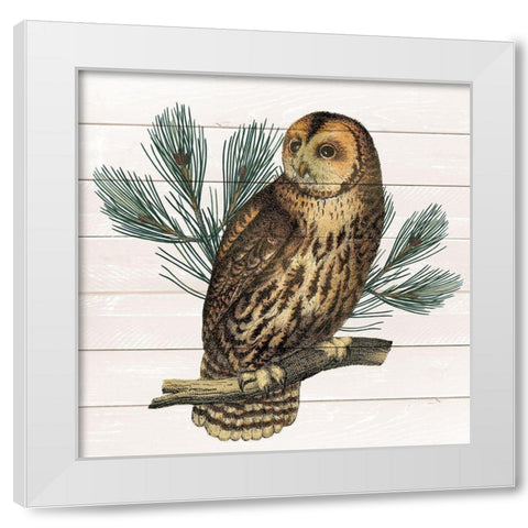 Owl 1 White Modern Wood Framed Art Print by Kimberly, Allen