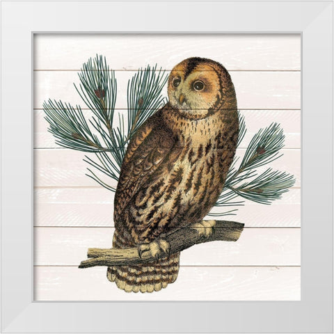 Owl 1 White Modern Wood Framed Art Print by Kimberly, Allen