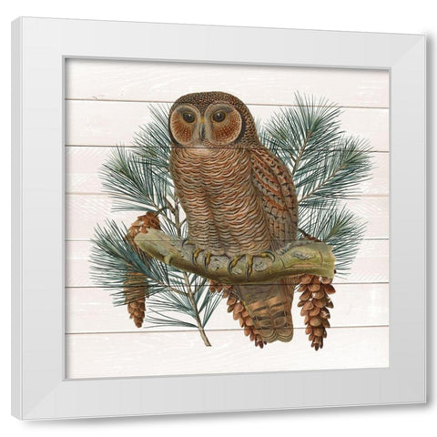 Owl 2 White Modern Wood Framed Art Print by Kimberly, Allen