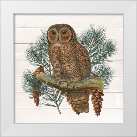 Owl 2 White Modern Wood Framed Art Print by Kimberly, Allen