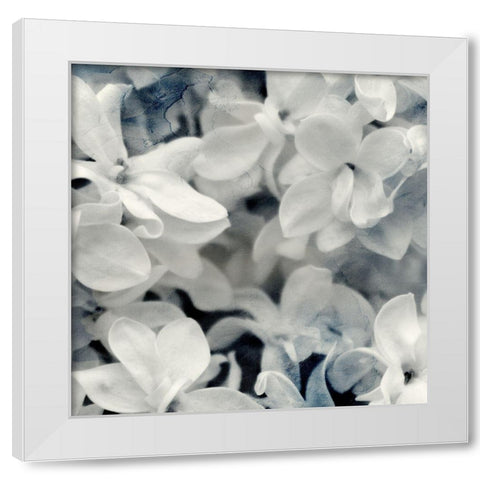 Lilac Blooms 2 White Modern Wood Framed Art Print by Kimberly, Allen