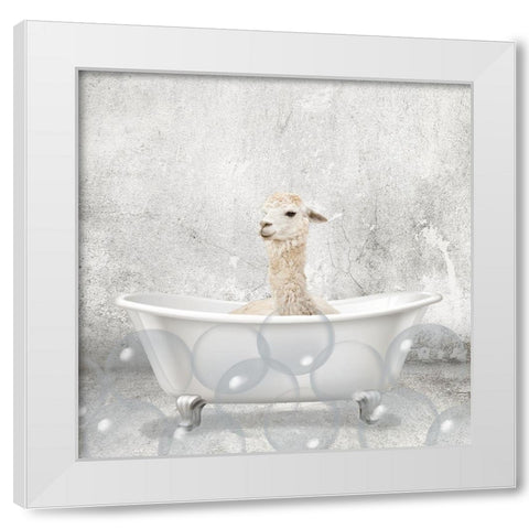 Baby Llama Bath White Modern Wood Framed Art Print by Kimberly, Allen