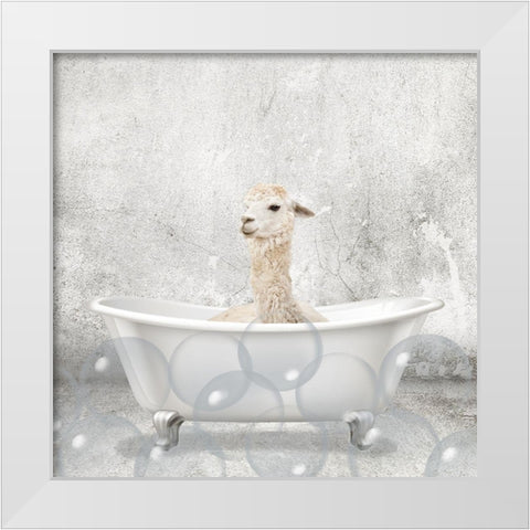 Baby Llama Bath White Modern Wood Framed Art Print by Kimberly, Allen