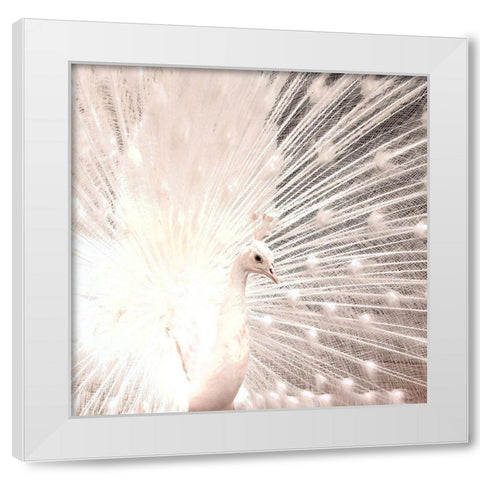 White Peacock White Modern Wood Framed Art Print by Kimberly, Allen