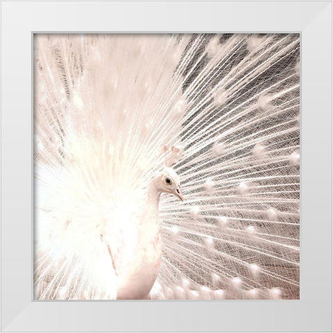 White Peacock White Modern Wood Framed Art Print by Kimberly, Allen
