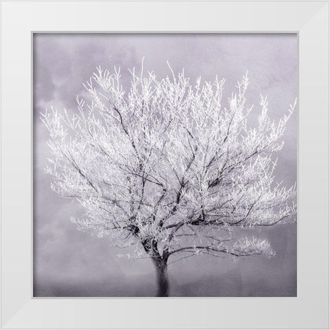 Frosted Tree White Modern Wood Framed Art Print by Kimberly, Allen