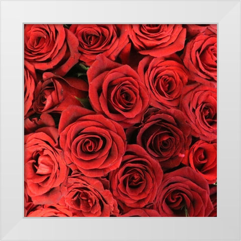 Paris Mon Amour 1 White Modern Wood Framed Art Print by Kimberly, Allen