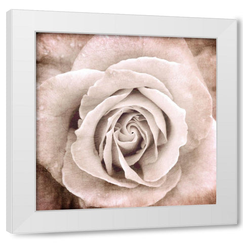 Paris Bistro 2 White Modern Wood Framed Art Print by Allen, Kimberly