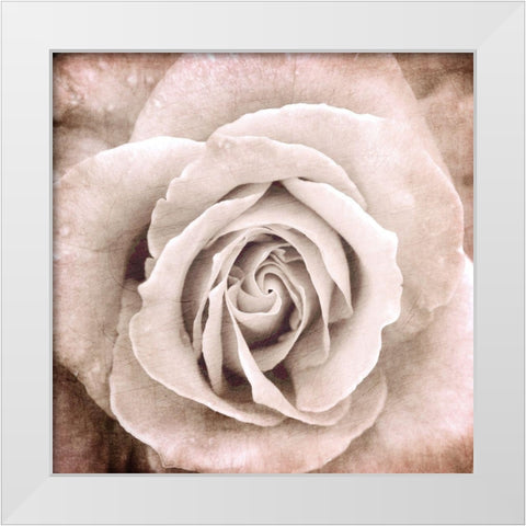 Paris Bistro 2 White Modern Wood Framed Art Print by Allen, Kimberly