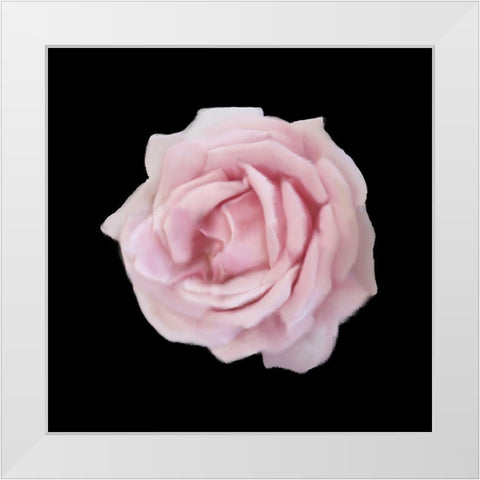 Perfume Roses 2 White Modern Wood Framed Art Print by Allen, Kimberly