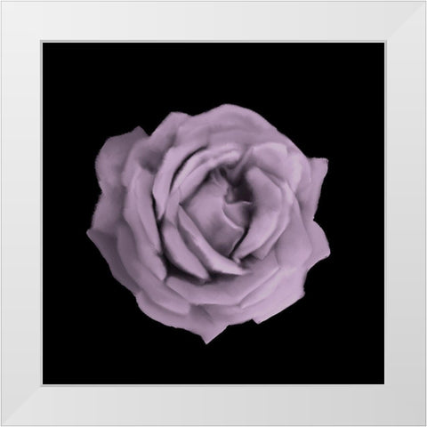 Perfume Roses 3 White Modern Wood Framed Art Print by Allen, Kimberly