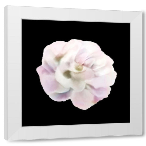 Always Paris 3 White Modern Wood Framed Art Print by Allen, Kimberly