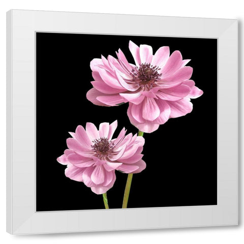He Heals Blossoms 3 White Modern Wood Framed Art Print by Allen, Kimberly