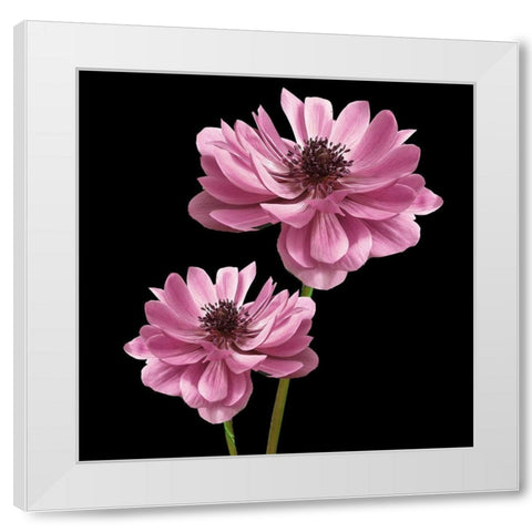Pink Paris 3 White Modern Wood Framed Art Print by Allen, Kimberly