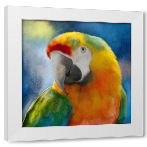 Parrot Love White Modern Wood Framed Art Print by Allen, Kimberly