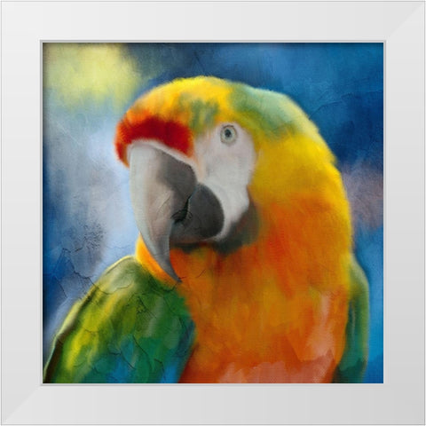 Parrot Love White Modern Wood Framed Art Print by Allen, Kimberly