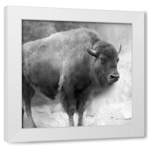 King White Modern Wood Framed Art Print by Allen, Kimberly