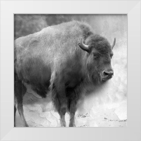 King White Modern Wood Framed Art Print by Allen, Kimberly