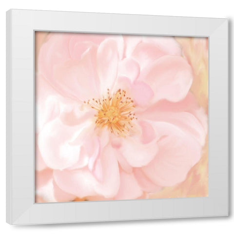 Pretty Pink White Modern Wood Framed Art Print by Allen, Kimberly