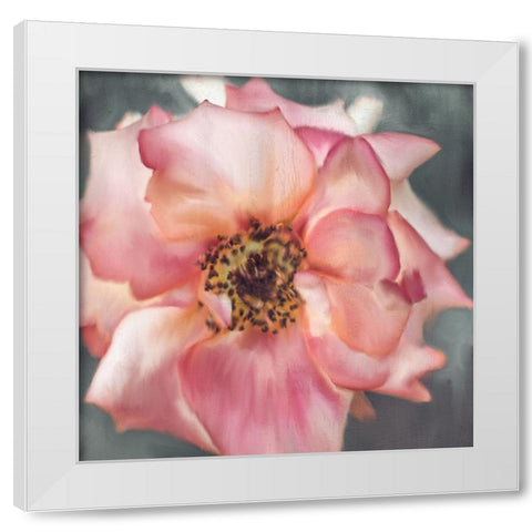 Dusty Rose White Modern Wood Framed Art Print by Allen, Kimberly