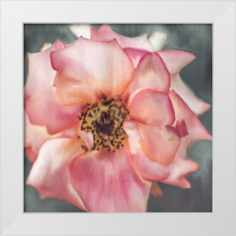 Dusty Rose White Modern Wood Framed Art Print by Allen, Kimberly