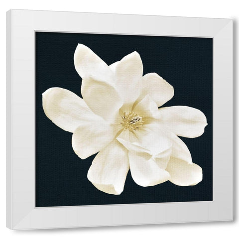 Magnolia 1 White Modern Wood Framed Art Print by Allen, Kimberly