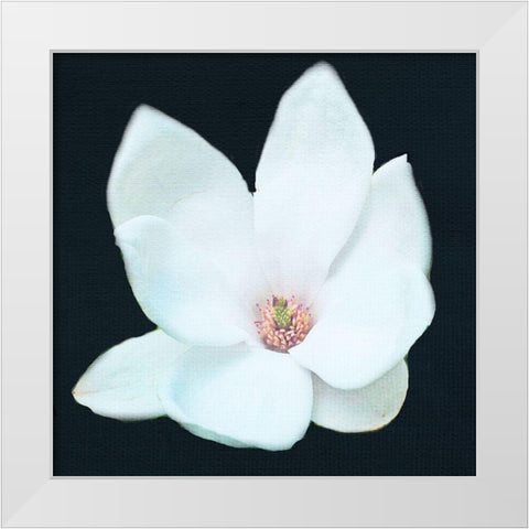 Magnolia 2 White Modern Wood Framed Art Print by Allen, Kimberly