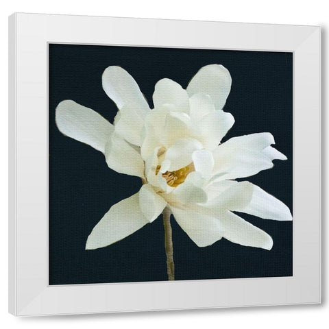 Magnolia 3 White Modern Wood Framed Art Print by Allen, Kimberly