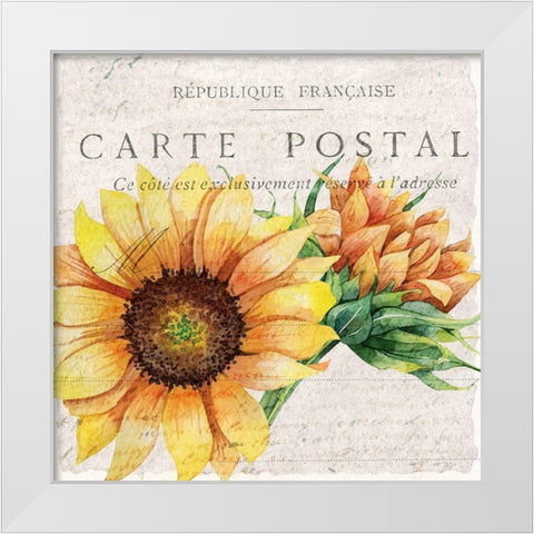 Sunflower Postcard 1 White Modern Wood Framed Art Print by Allen, Kimberly