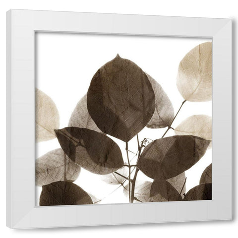 Chocolate Leaves 1 White Modern Wood Framed Art Print by Allen, Kimberly