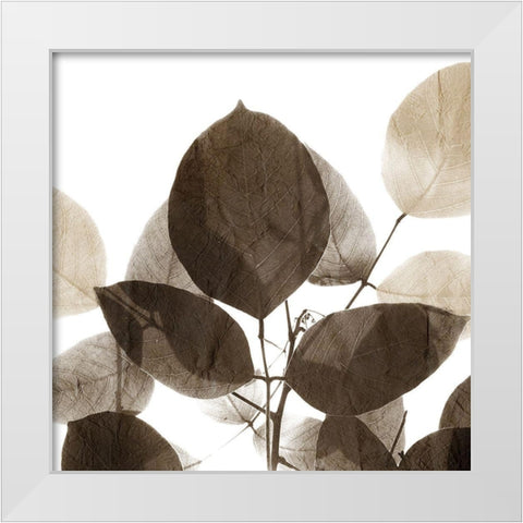 Chocolate Leaves 1 White Modern Wood Framed Art Print by Allen, Kimberly