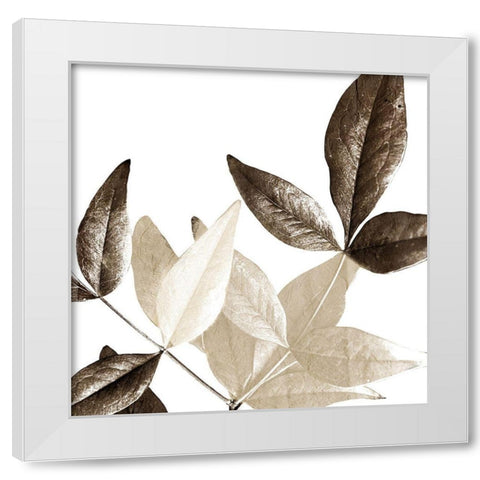 Chocolate Leaves 2 White Modern Wood Framed Art Print by Allen, Kimberly