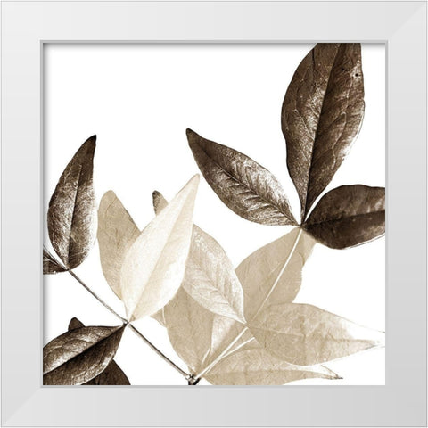 Chocolate Leaves 2 White Modern Wood Framed Art Print by Allen, Kimberly